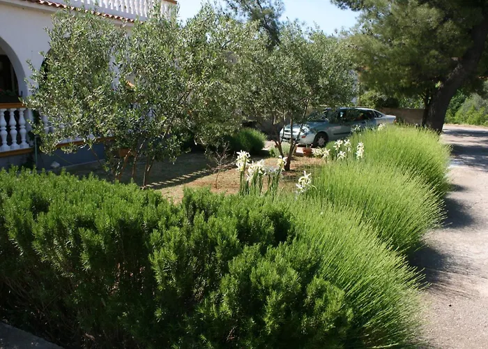 With A Parking Space Pirovac, Sibenik - 6246 Apartamento Pirovac